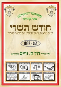 R' Duvid C. Weiss - Chodesh Tishrei