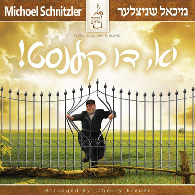 Mishoel Schnitzler - Yu Di Kenst - Yes You Can
