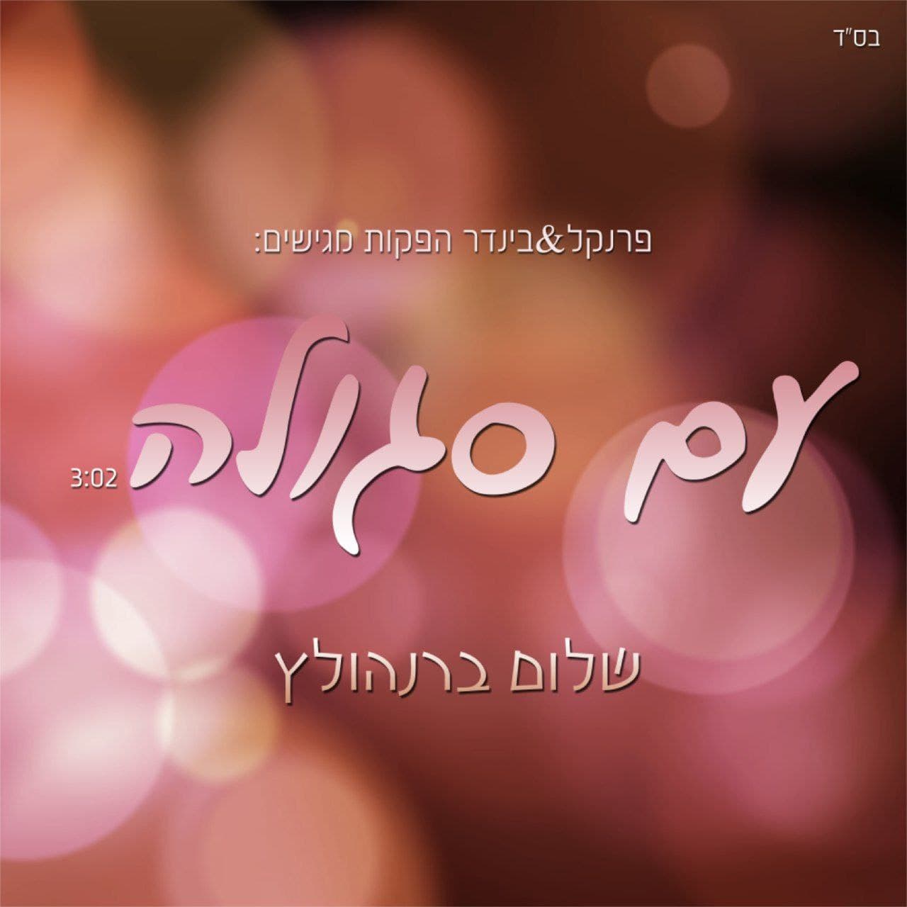 Shulem Brenholtz - Am Segula (Single)