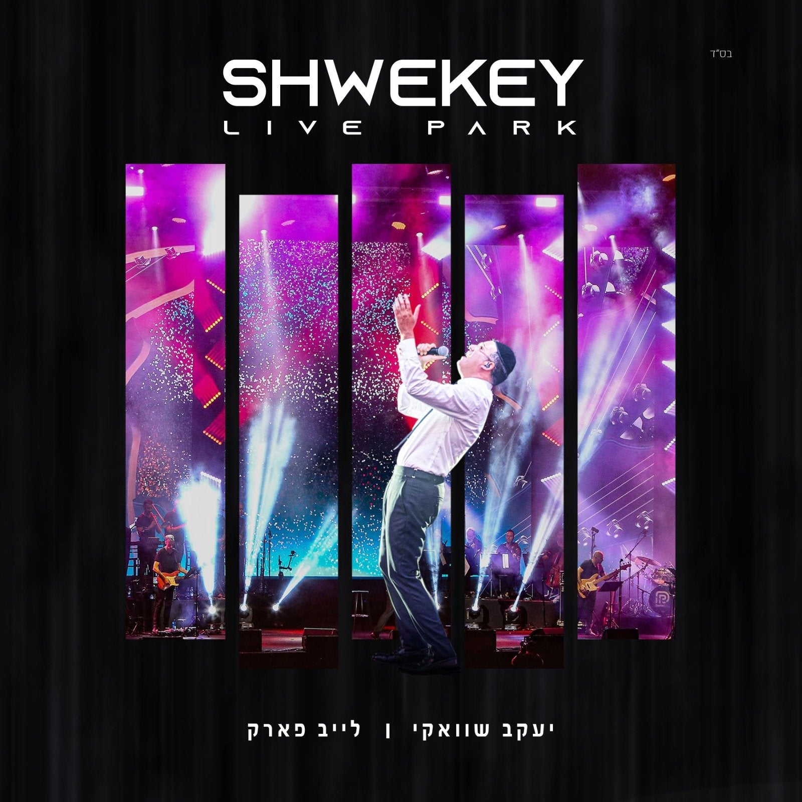 Yaakov Shwekey - Live Park