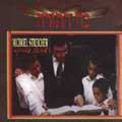 מיכאל שטרייכר - כוח התורה