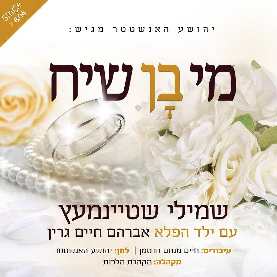 Shmili Steinmetz and Avrum Chaim Green - Mi Bon Siach (Sheya Hanstater)