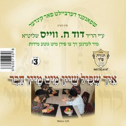 R' Duvid C. Weiss - Ich Shpiel Mit Mein Chaver