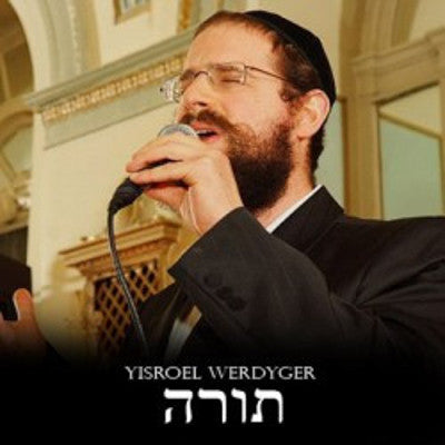 Yisroel Werdyger - Torah