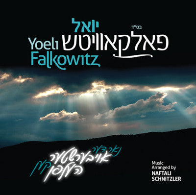 Yoeli Falkowitz - Nor Di Aibishter