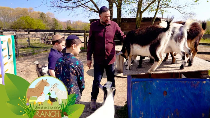 Yossi & Leah's Ranch - Goats, Chickens & Ducks (Video)