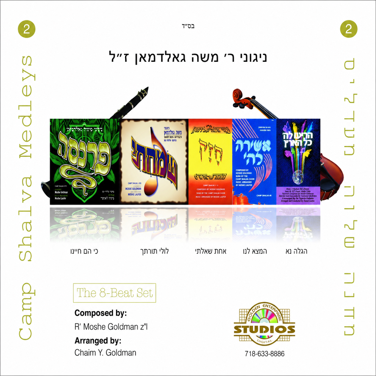 Moshe Goldman - Camp Shalva Medleys #2