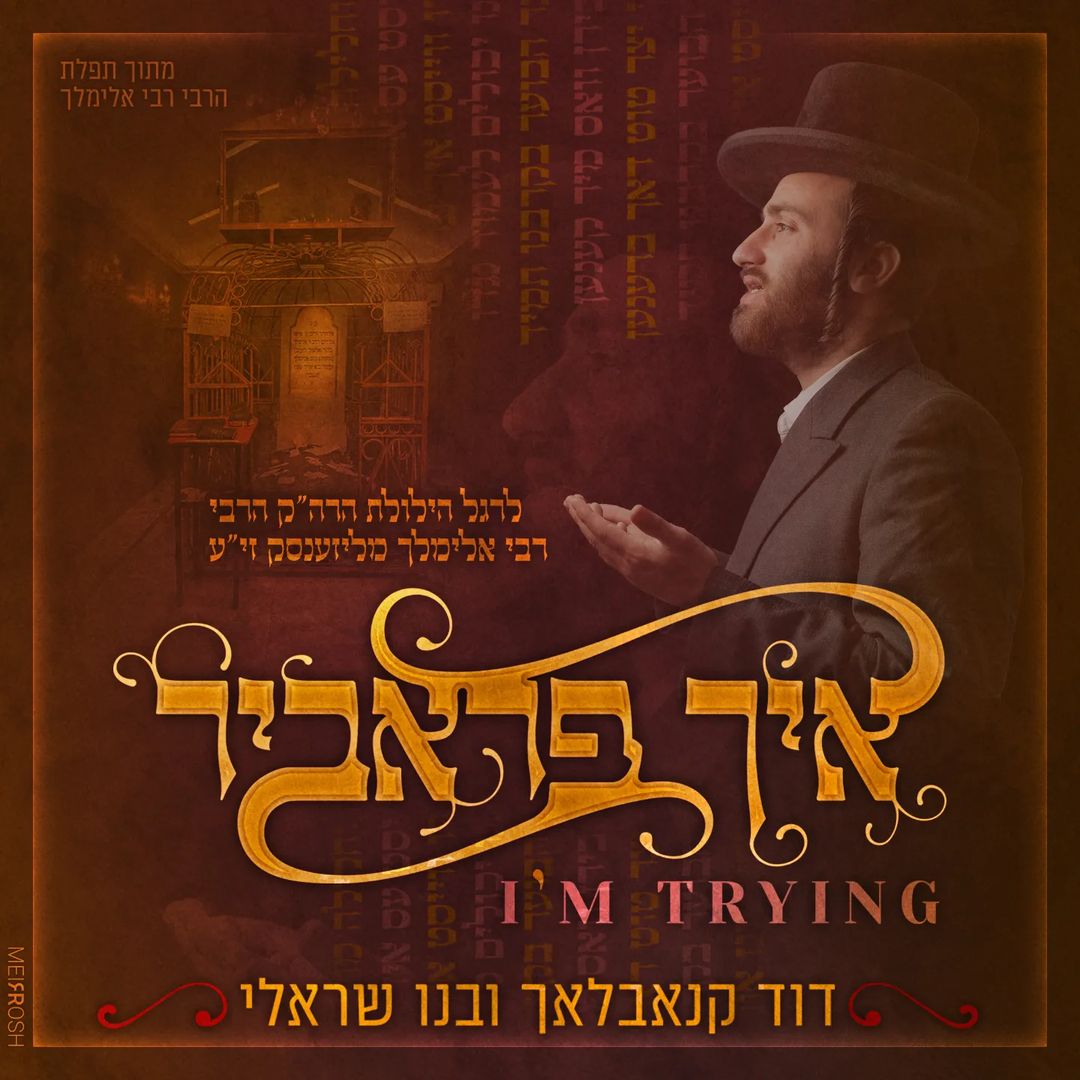 דויד קנובלוך - אני מנסה (רווק)