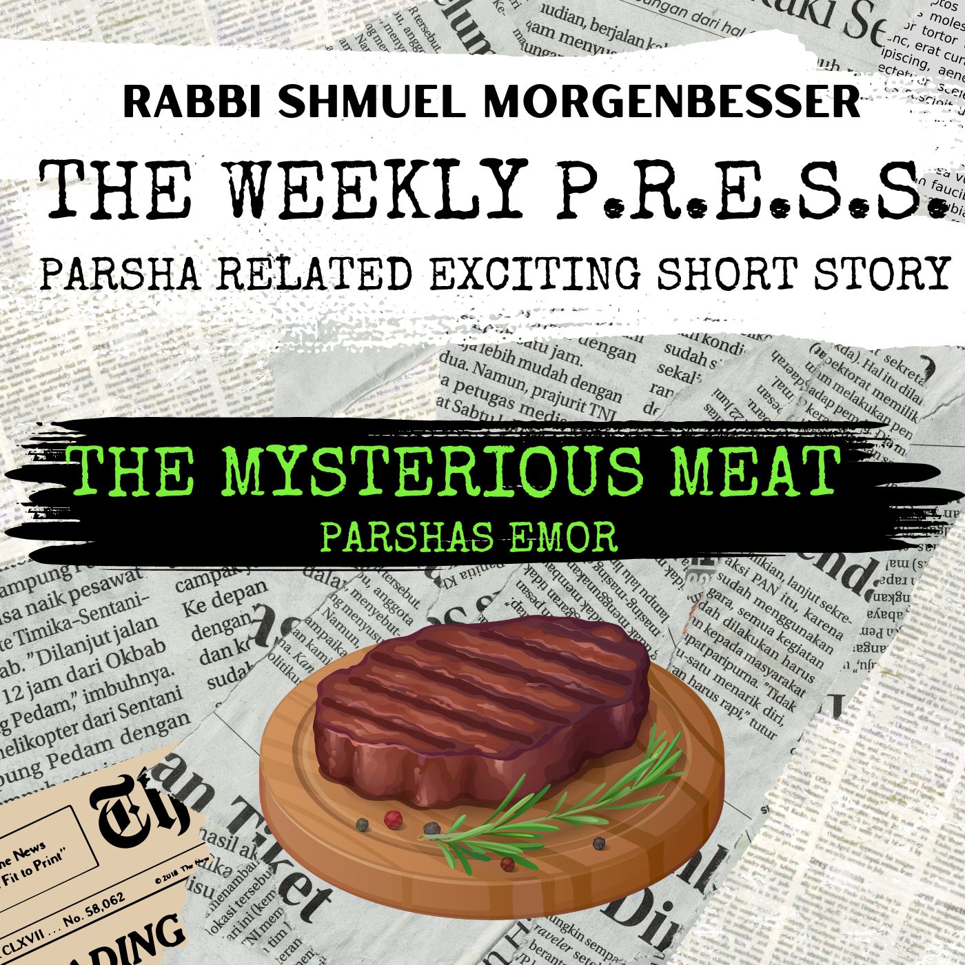 Rabbi Shmuel Morgenbesser - The Mysterious Meat [Short Story] (Single)