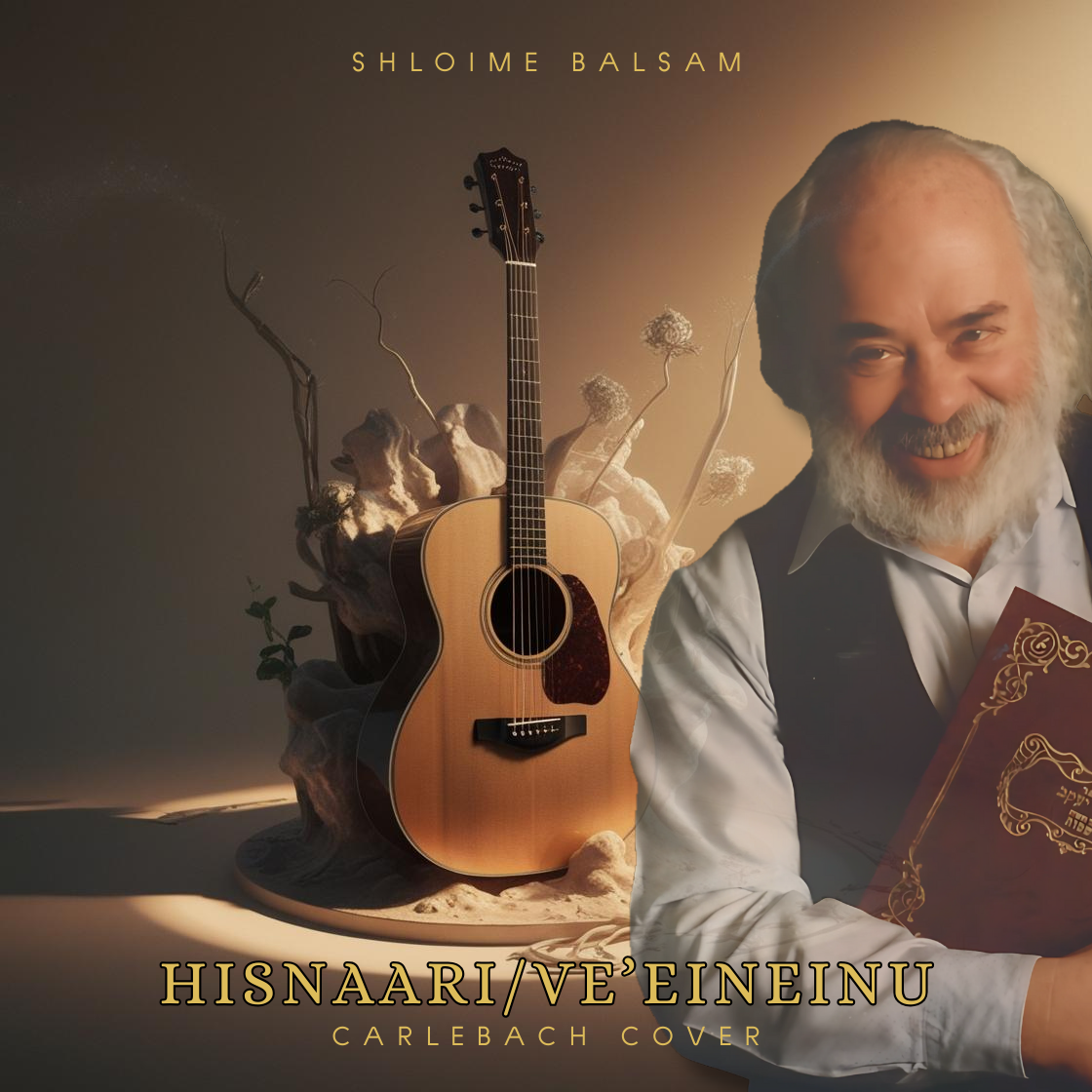 Shloime Balsam - Hisnaari-Ve'Eineinu [Cover] (Single)