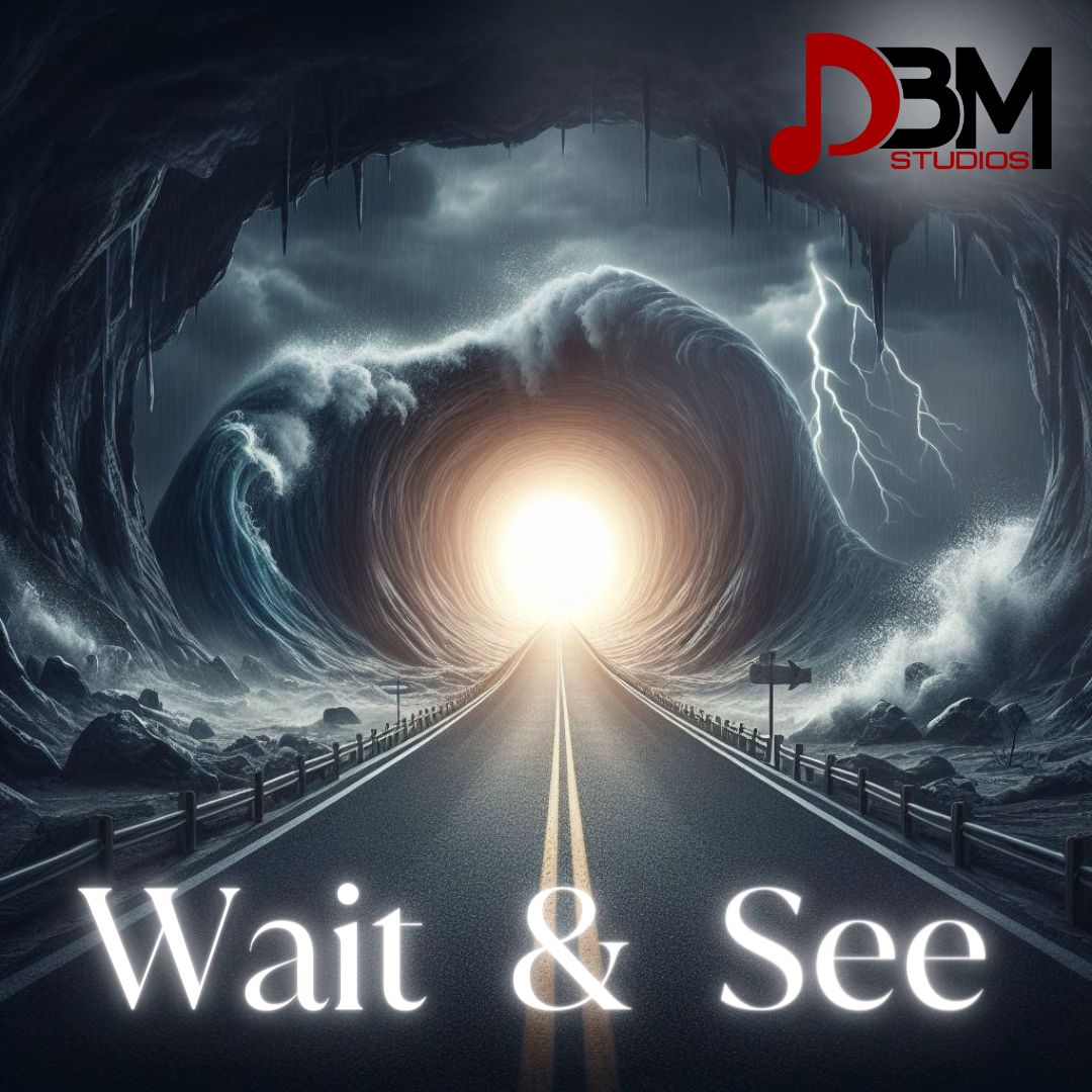 DBM Studios - Wait & See (Single)