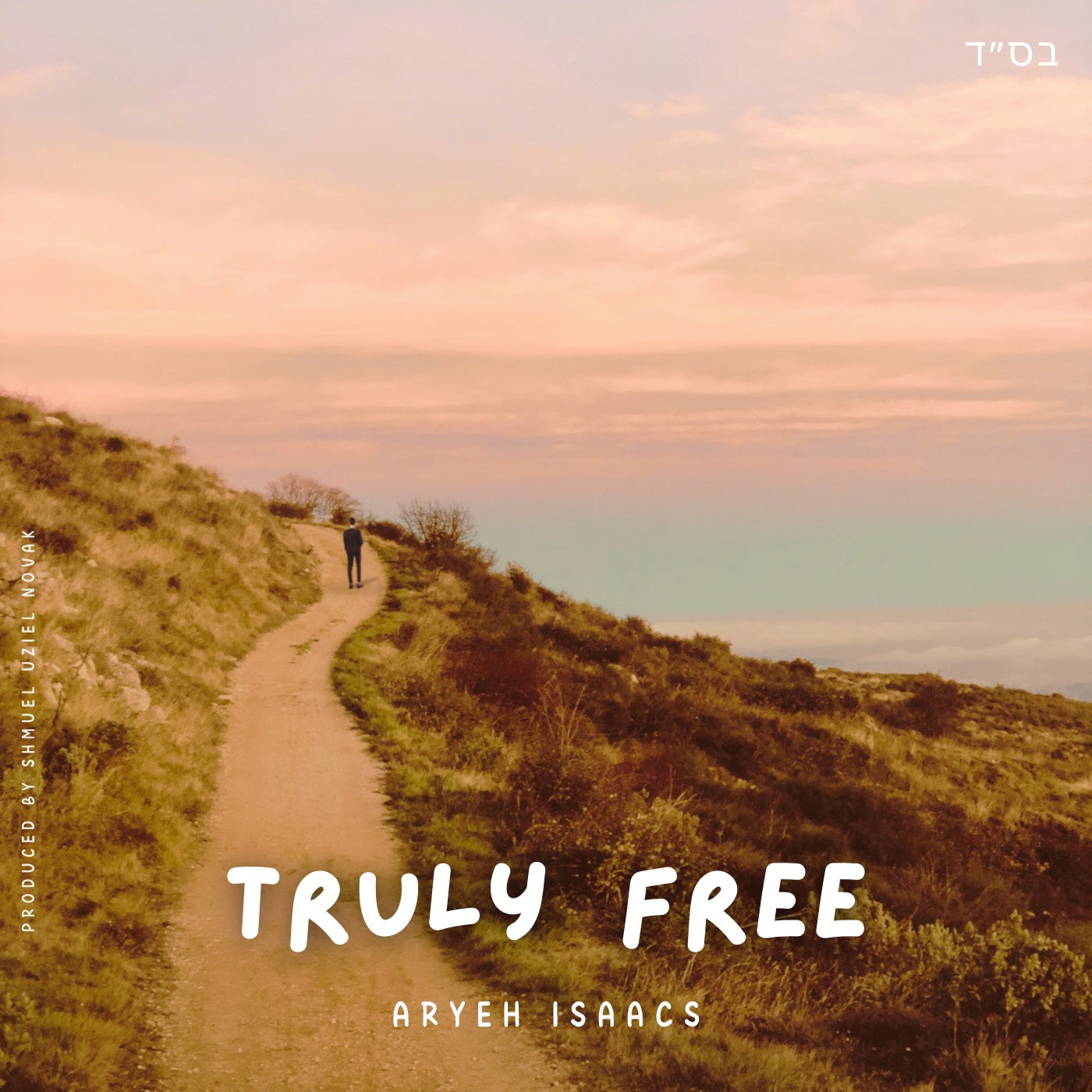 Aryeh Isaacs - Truly Free (Single)