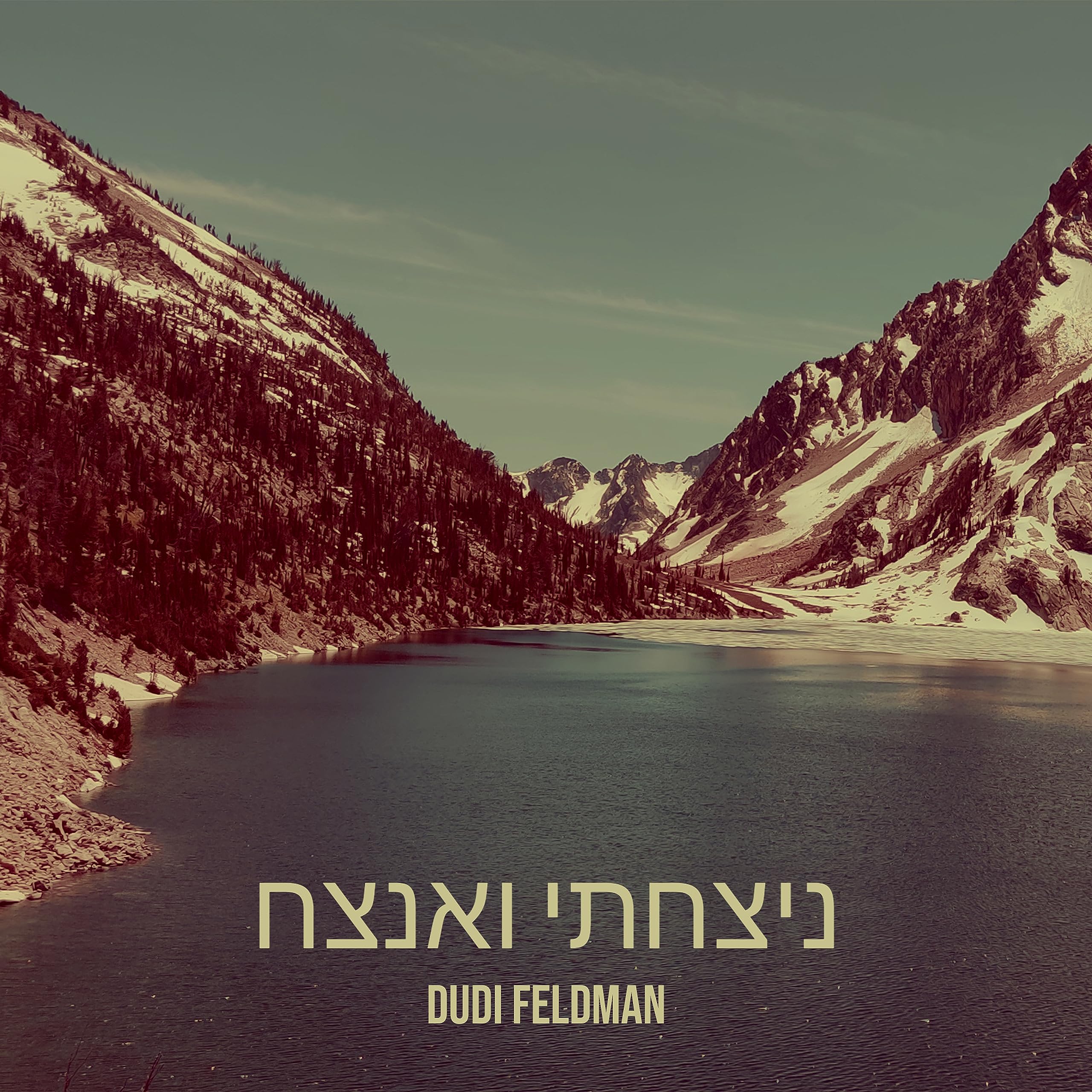 Dudi Feldman - Nitzachti Vaanatzeach [Cover] (Single)