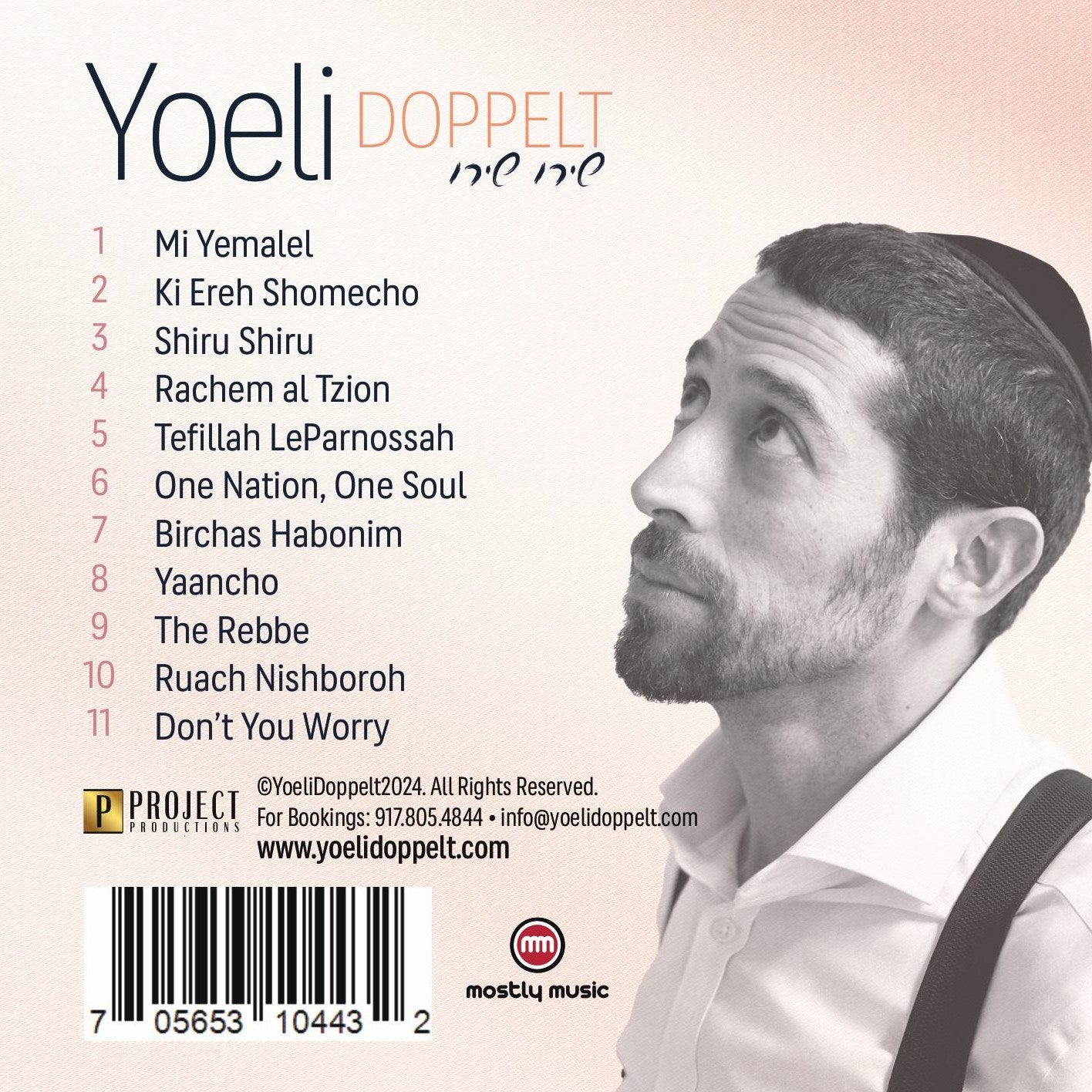 Yoeli Doppelt - Shiru Shiru