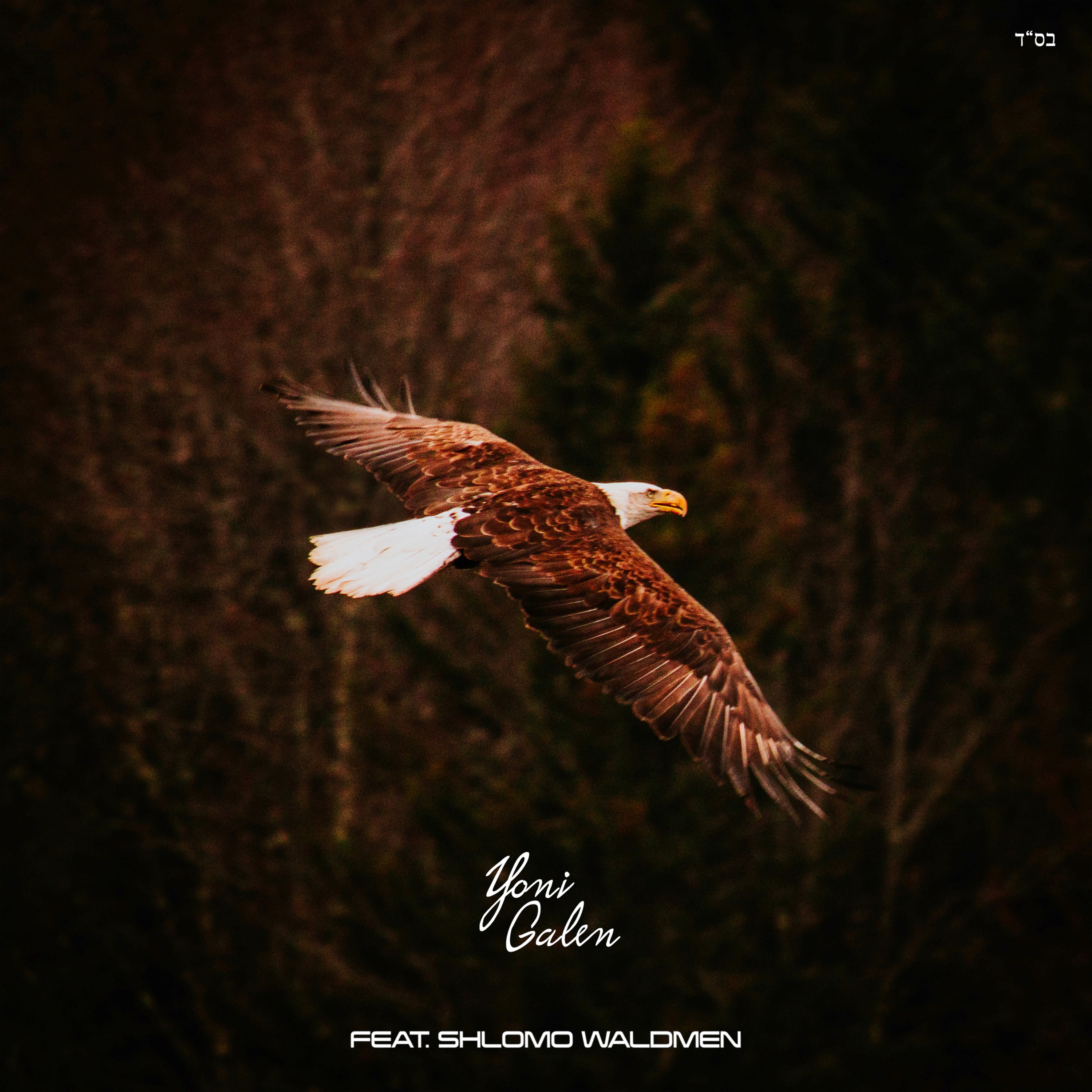 Yoni Galen ft. Shlomo Waldmen - Wings of Eagles (Single)