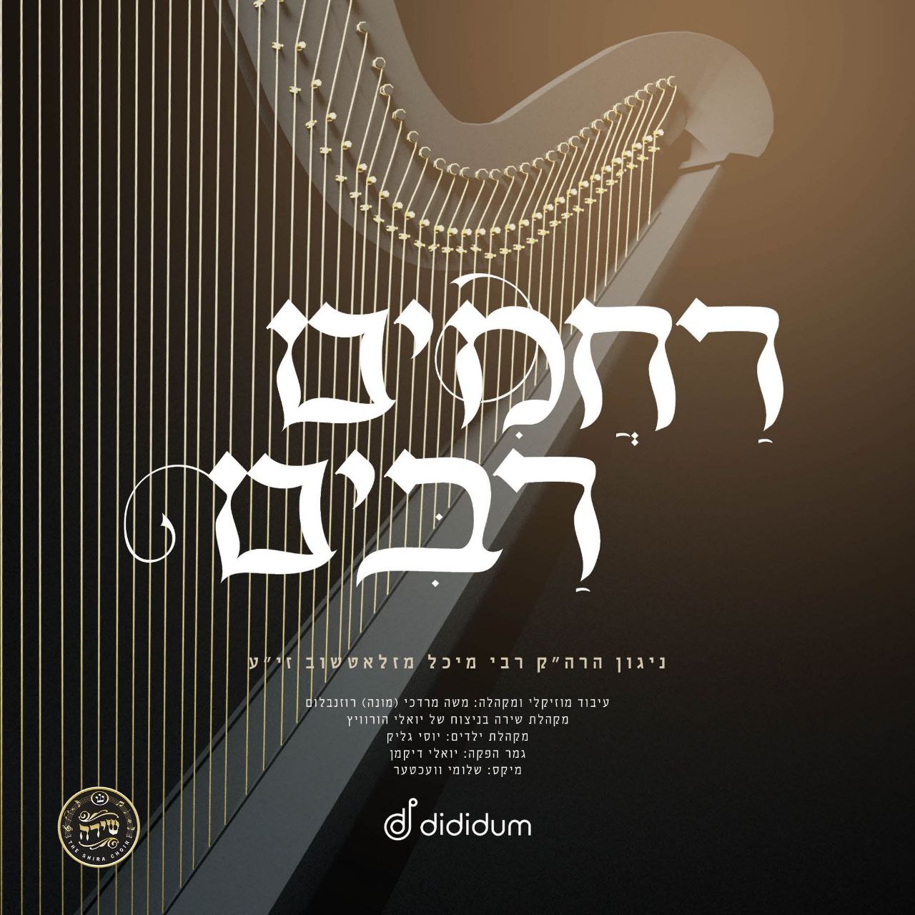 Mona Rosenblum Ft. The Shira Choir - Rachamim Rabim (Single)