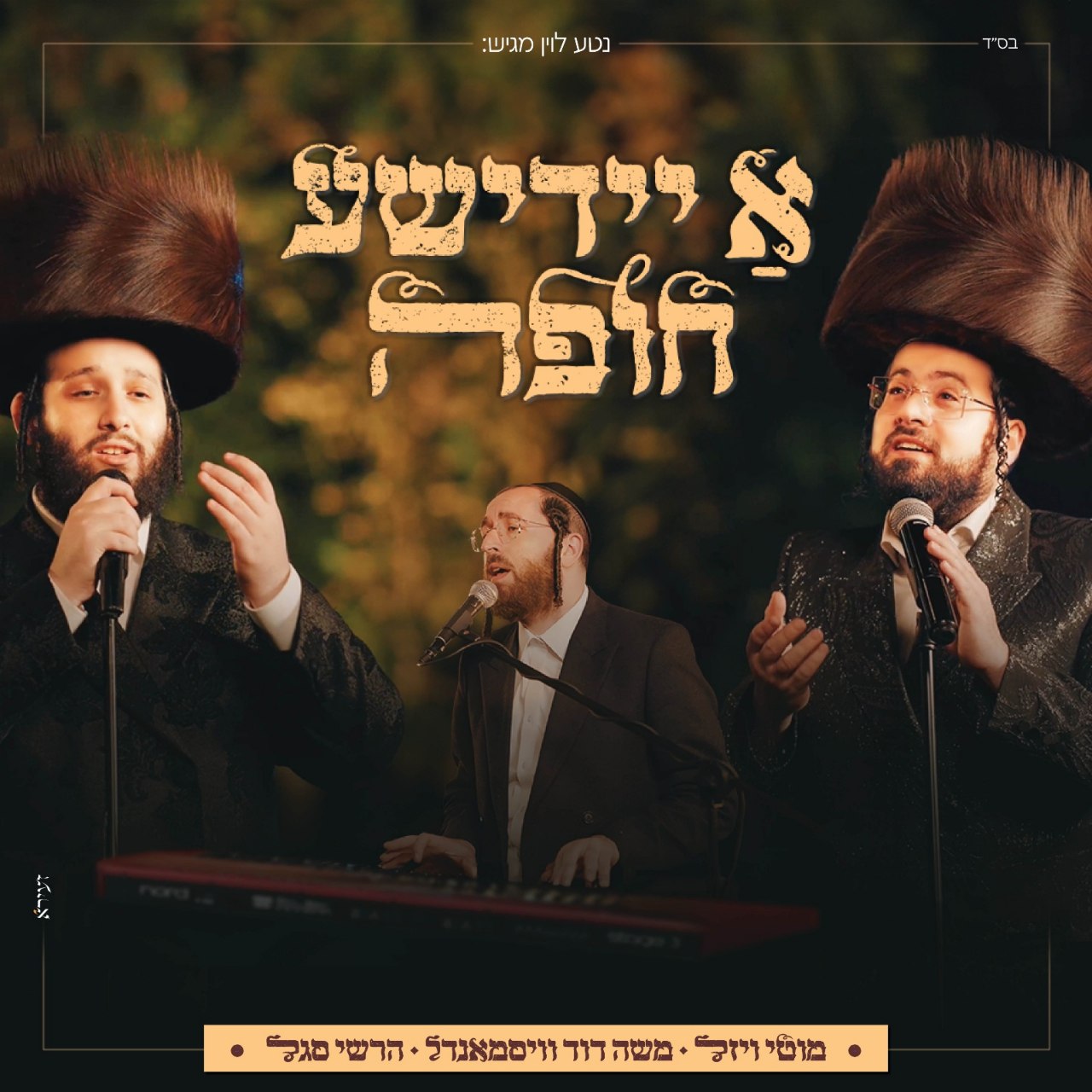 Motti Weisel, Moshe Duvid Weissmandel & Hershi Segal - A Yiddishe Chuppa [Medley] (Single)
