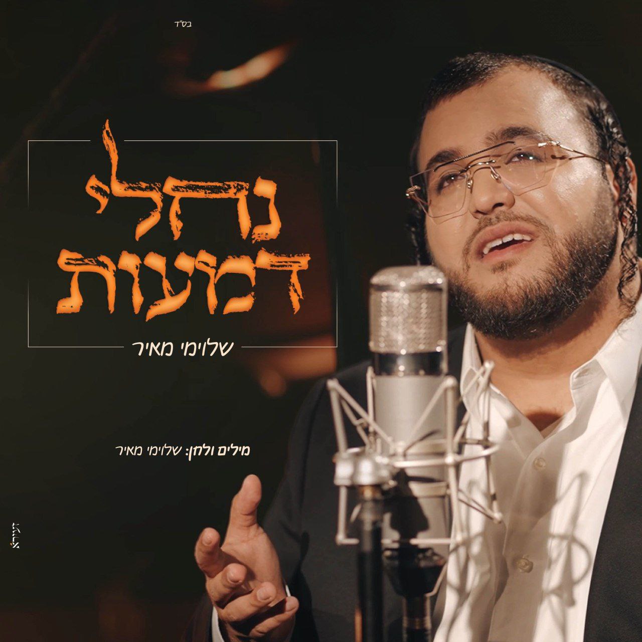 Shloime Meir - Nachlei Demaot (Single)