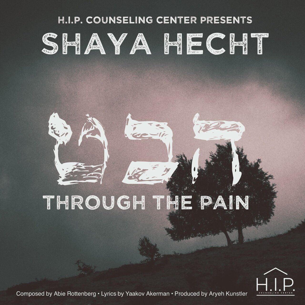 Shaya Hecht - Habeit [Cover] (Single)