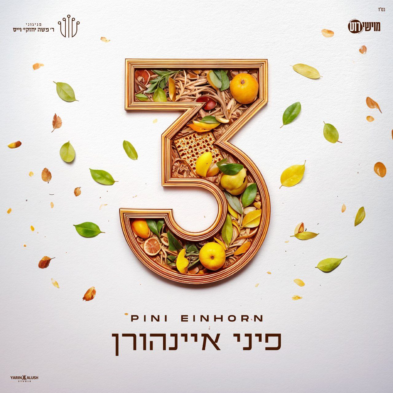 Pini Einhorn - 3 (Single)