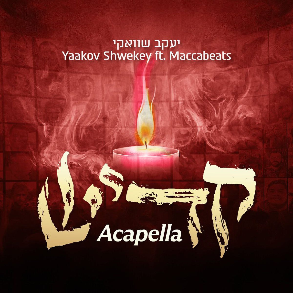 Yaakov Shwekey Ft. Maccabeats - Kaddish [Acapella] (Single)