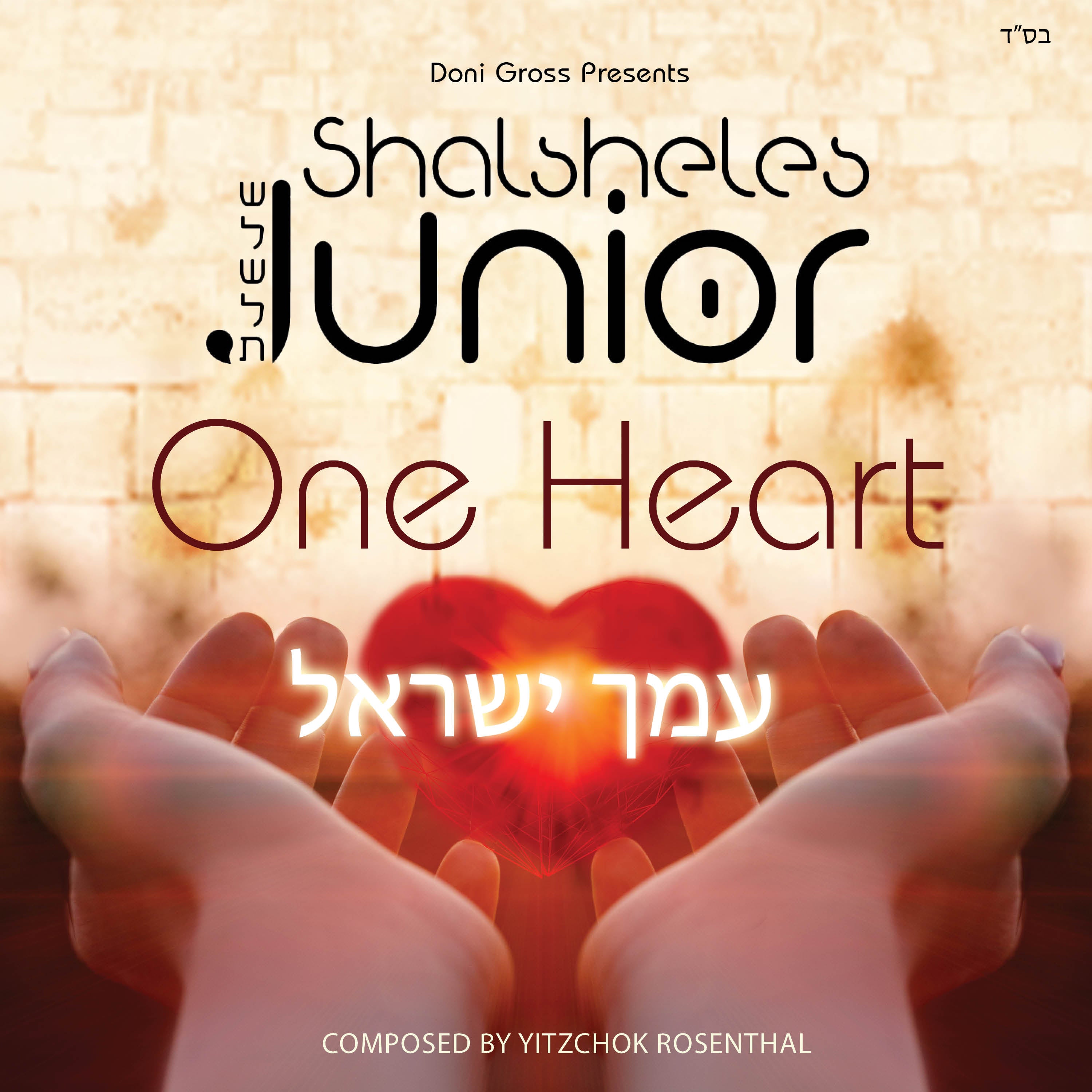 Shalsheles Junior - Amcha Yisroel - One Heart (Single)