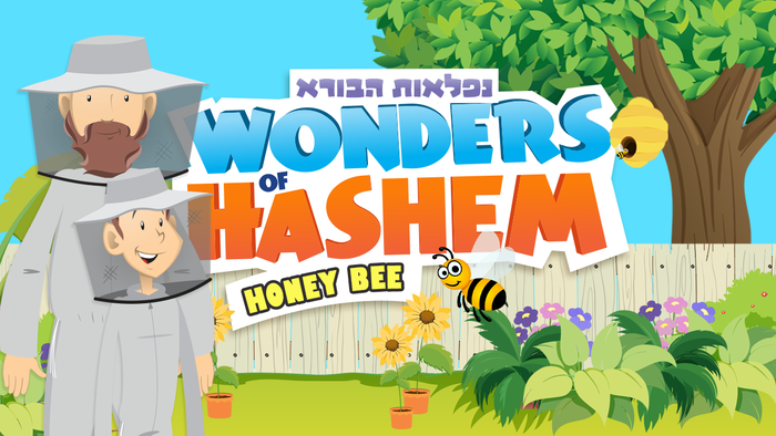 Wonders of Hashem - Bees (Video)