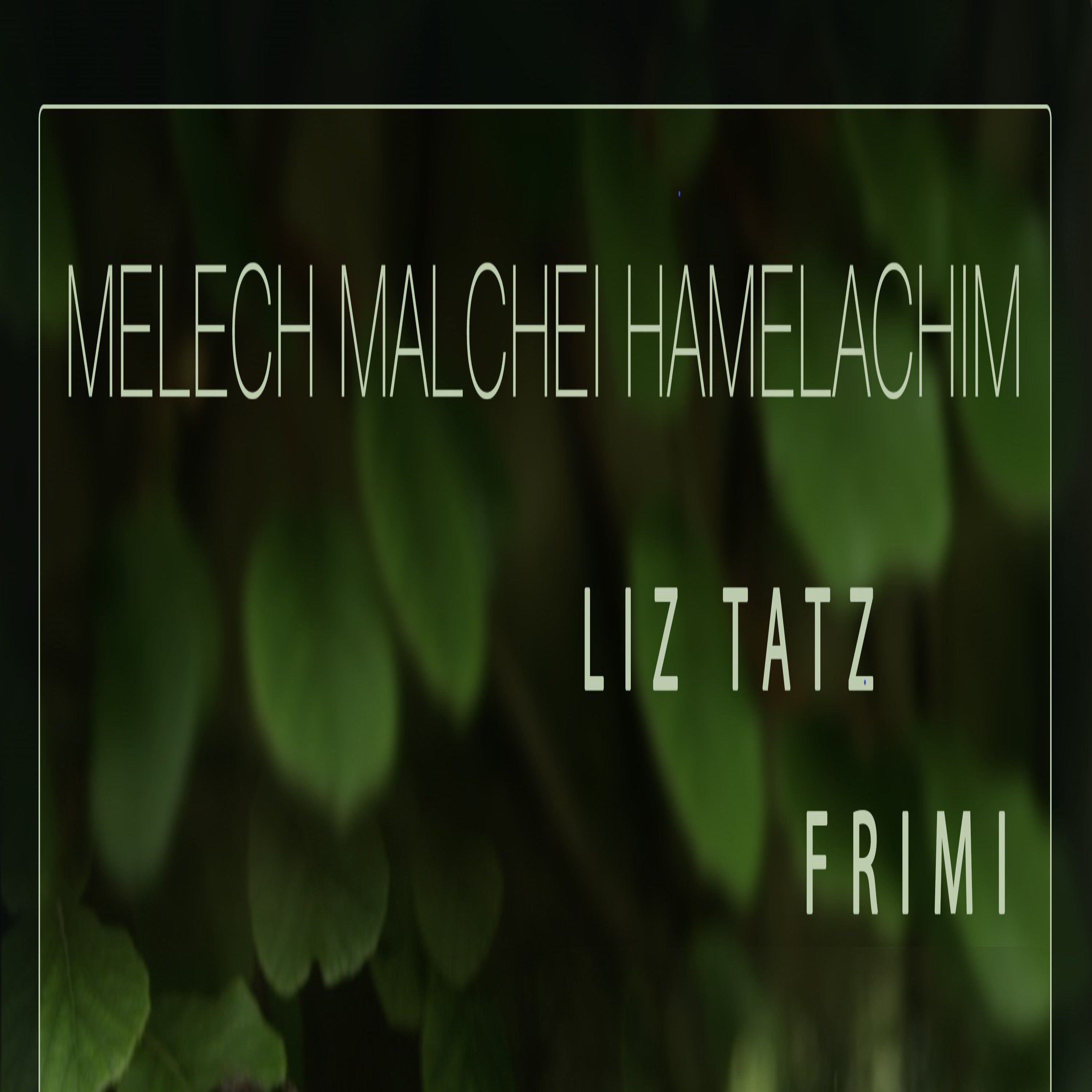 Frimi & Liz Tatz - Melech (Single)
