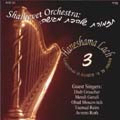Shalhevet Orchestra - Haneshama Lach 3