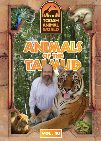 Living Torah Museum - Animals of the Talmud (Video)