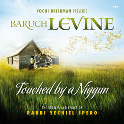 Baruch Levine - Touched By A Niggun