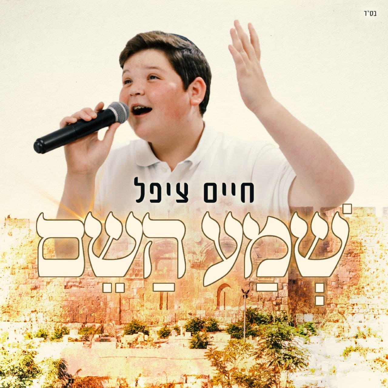 Chaim Zippel - Shema Hashem (Single)