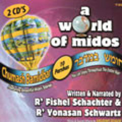 R Fishel Schachter - A World of Middos - Chumash Bamidbar