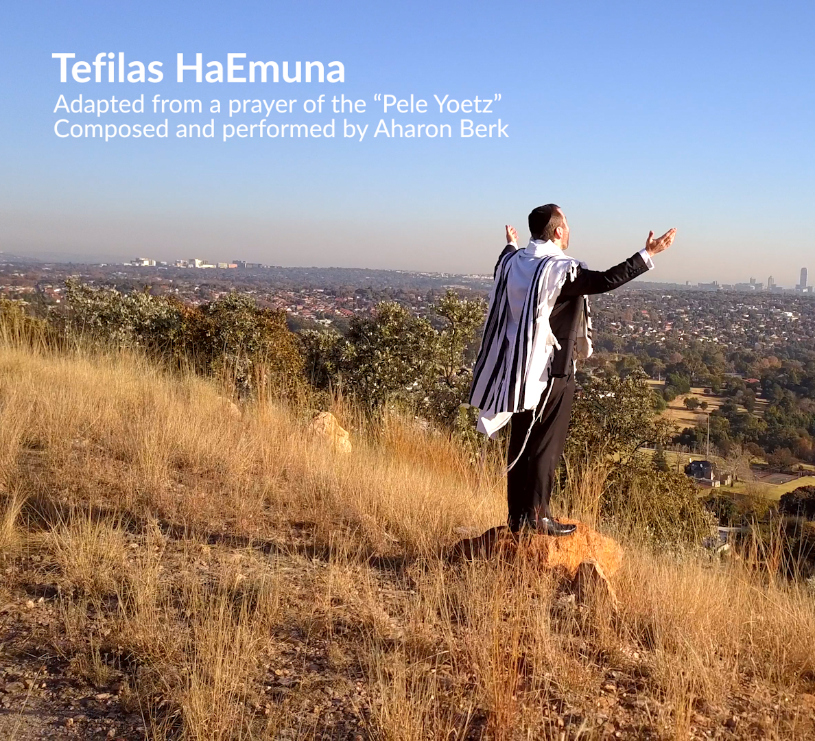 Aharon Berk - Tefillas Ha'Emuna (Single)