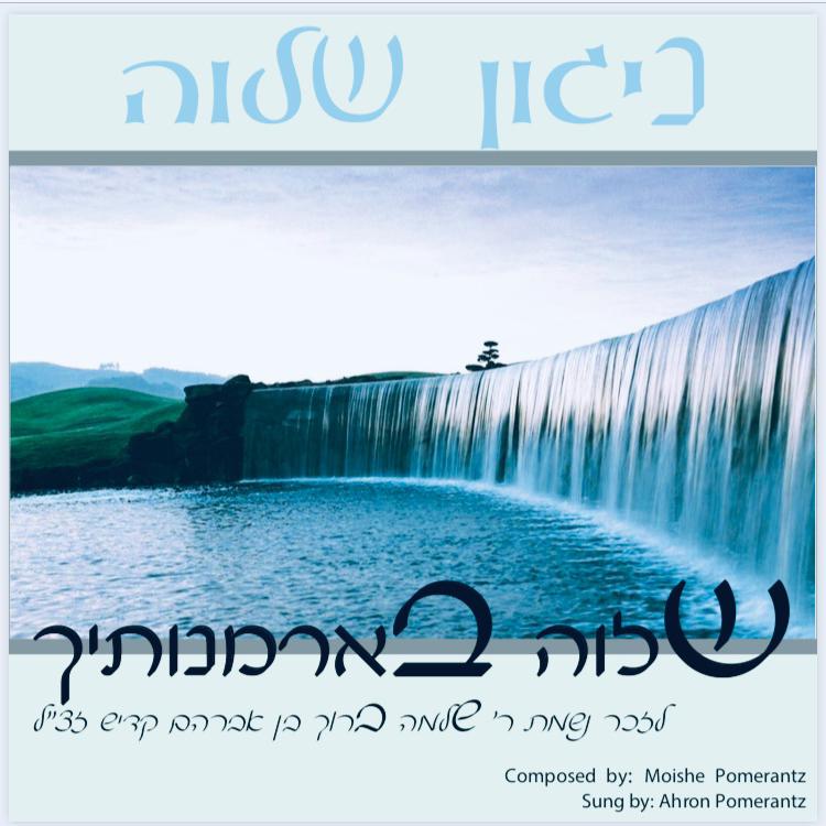 Ahron Pomerantz - Shalom Rav (Single)