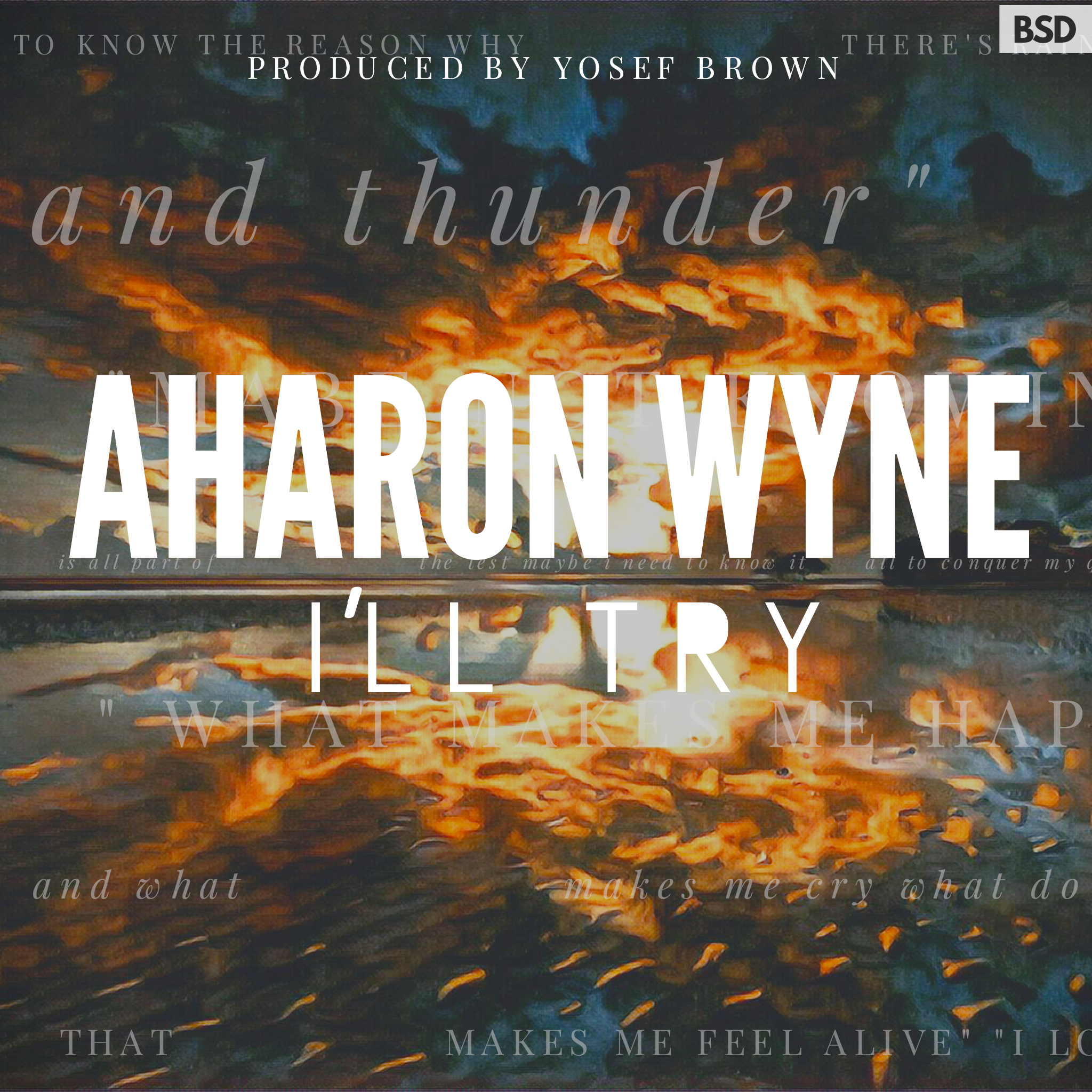 Aharon Wyne - I'll Try