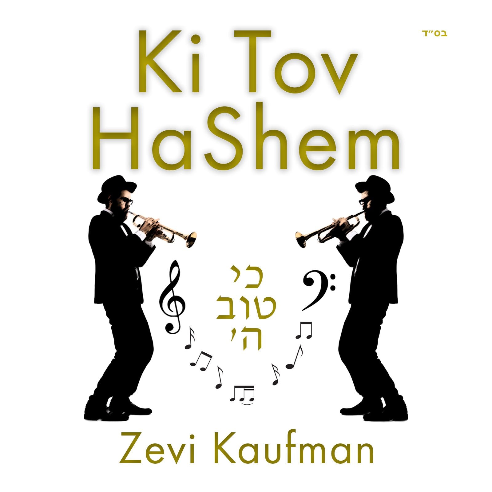 Zevi Kaufman - Ki Tov Hashem (Single)