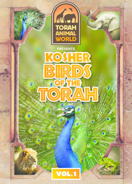 Living Torah Museum - Kosher Birds of the Torah (Video)