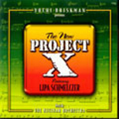 Lipa Schmeltzer - New Project X