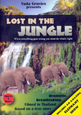 Grovais - Lost in the Jungle