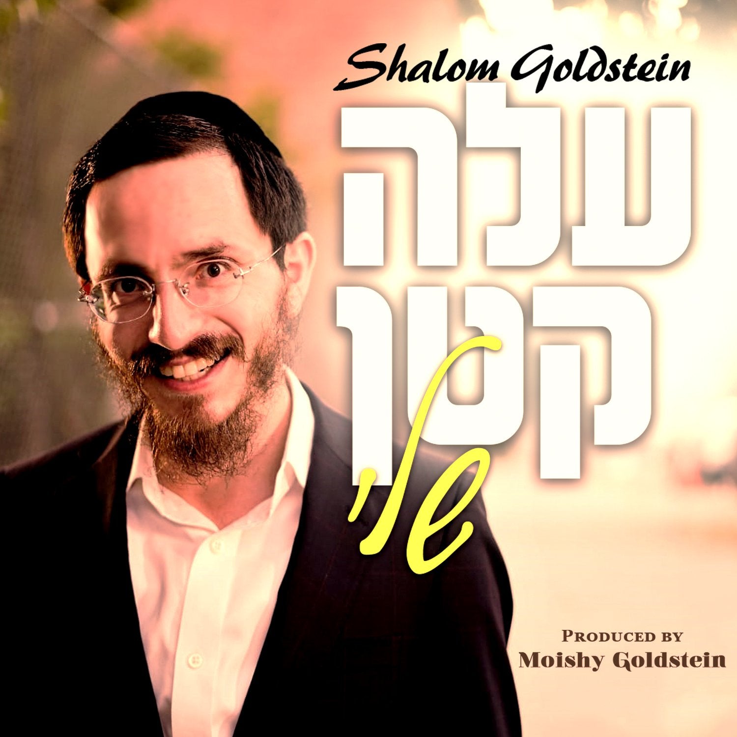 Shalom Goldstein - Aleh Katan (Single)