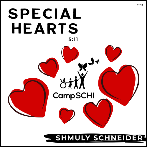 Shmuly Schneider - Special Hearts (Single)