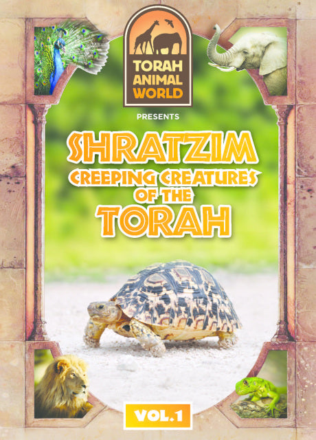 Living Torah Museum - Sheratzim (Video)