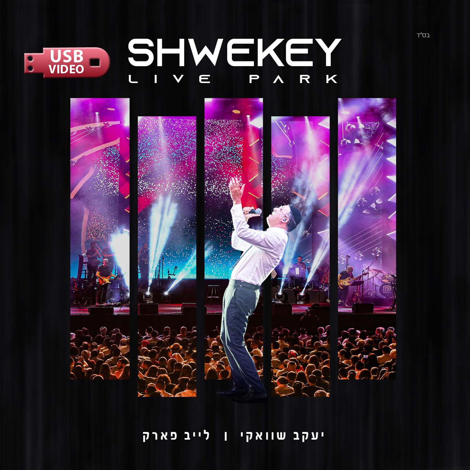 Yaakov Shwekey - Live Park (USB Video)
