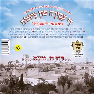 R' Duvid C. Weiss - The Aveirah Fin Tziyoines