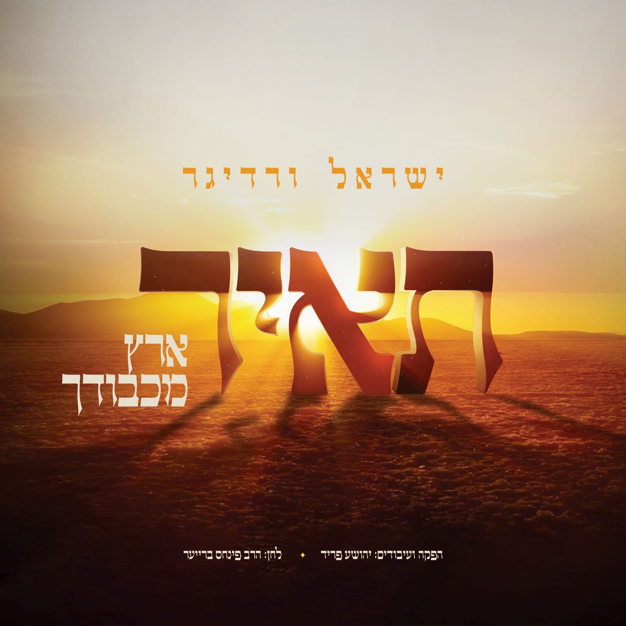 Yisroel Werdyger - Ta'ir (Single)