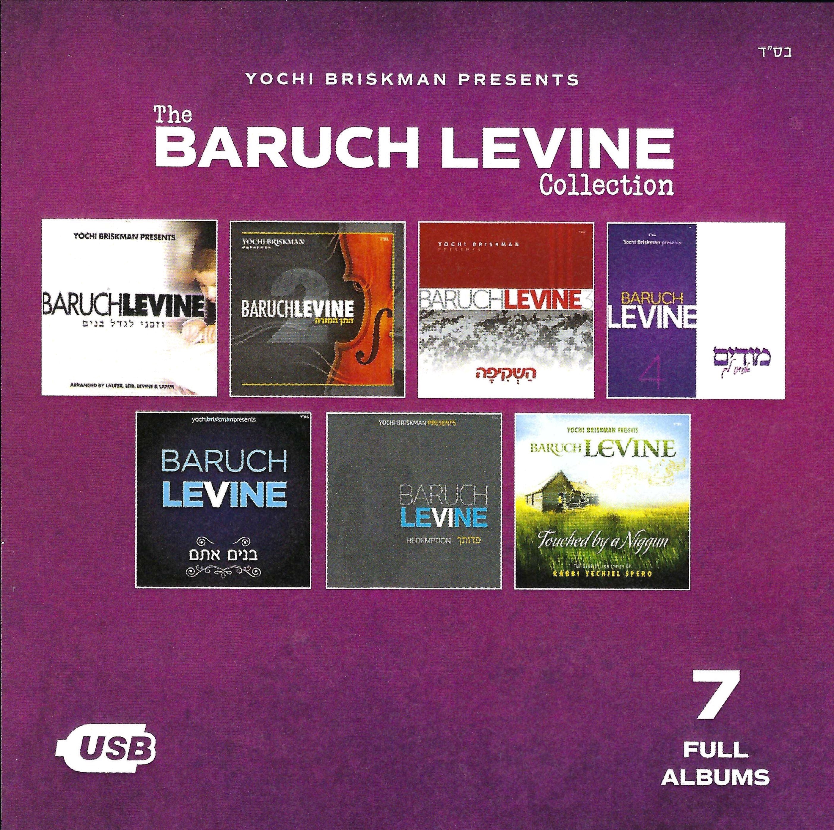 Project Productions - The Baruch Levine Collection USB