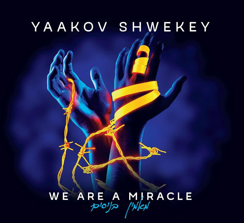 Yaakov Shwekey - We Are A Miracle