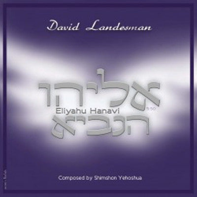 David Landesman & Shimshon Yehoshua - Eliyahu Hanavi