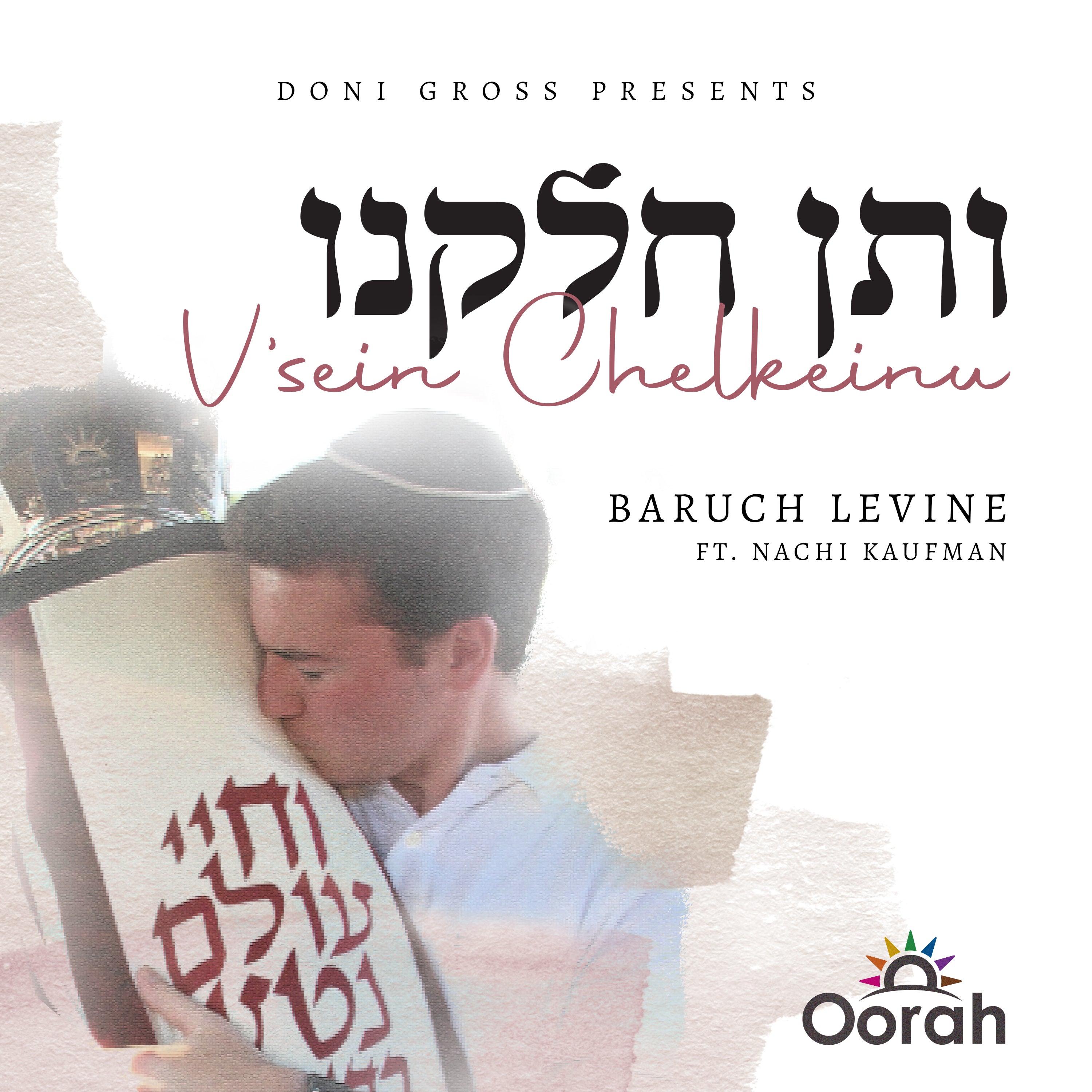 Baruch Levine - V'sein Chelkeinu (Single)